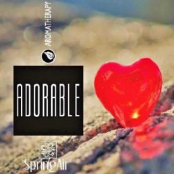 Rezerva odorizant prin nano-atomizare, ADORABLE- Spring Air, 500ml Rezerva odorizant prin nano-atomizare, ADORABLE- Spring Air, 500ml