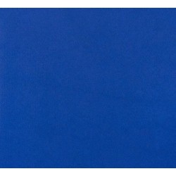 Mochetă exterior Park Albastru 800, înălțime fir 7.5 mm