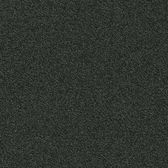 Mocheta Millennium Nxtgen, Modulyss