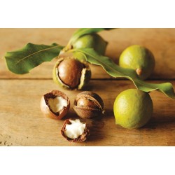 Keff săpun lichid pentru mâini Macadamia Oil 500 ml