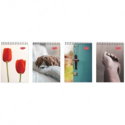 Bloc notes a5 spira 80 file daco bn580dr Bloc notes a5 spira 80 file daco bn580dr