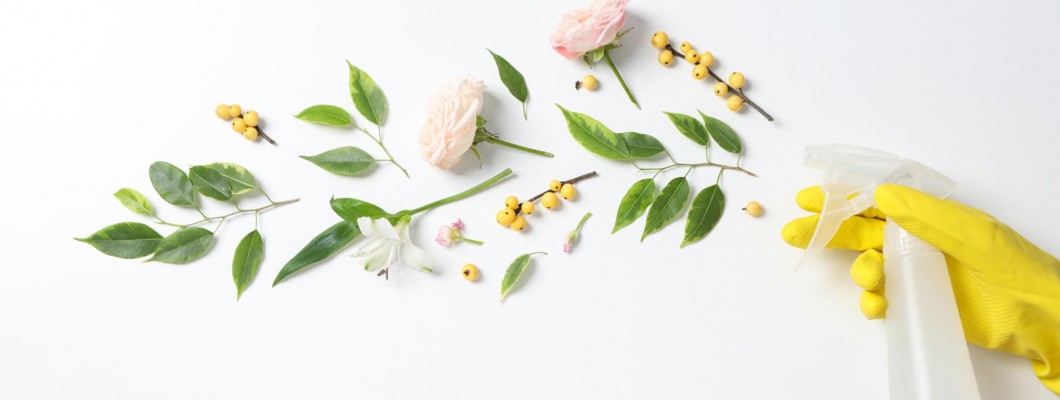 Produse esentiale pentru o curățenie de primăvara eco-friendly Produse esentiale pentru o curățenie de primăvara eco-friendly
