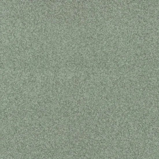 Covor pvc lentex PIONEER (2m)