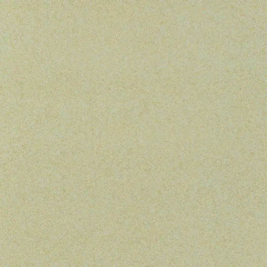 Covor pvc lentex PIONEER (2m)