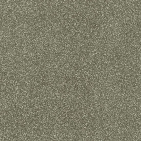 Covor pvc lentex PIONEER (2m)