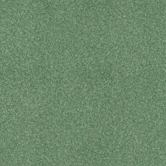 Covor pvc lentex PIONEER (2m)