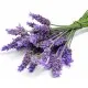 Keff săpun lichid pentru mâini Jasmin & Lavender 500 ml